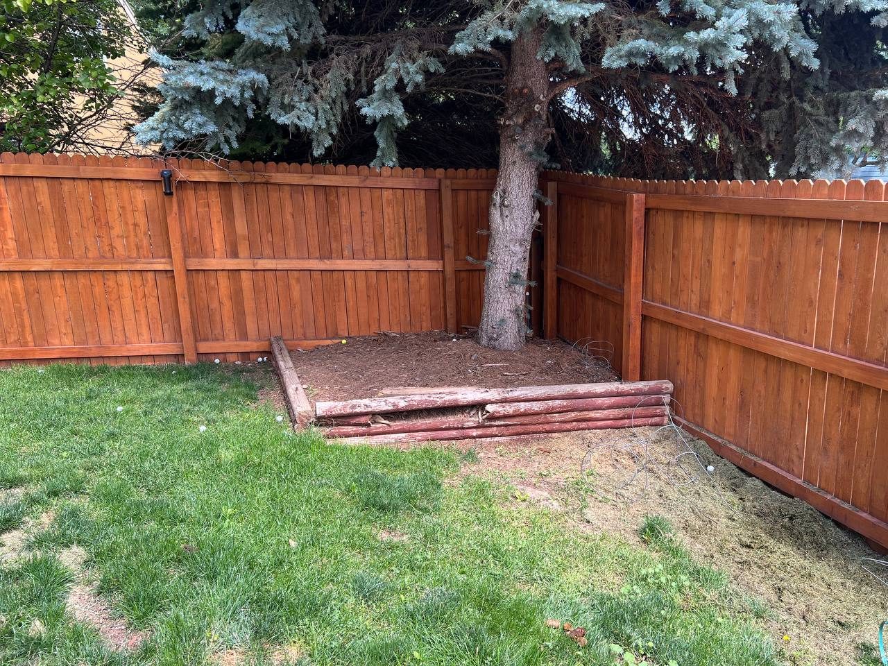 Tree ring renovation — before detail