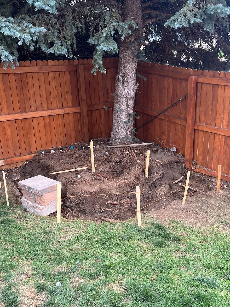 Tree ring renovation — layout