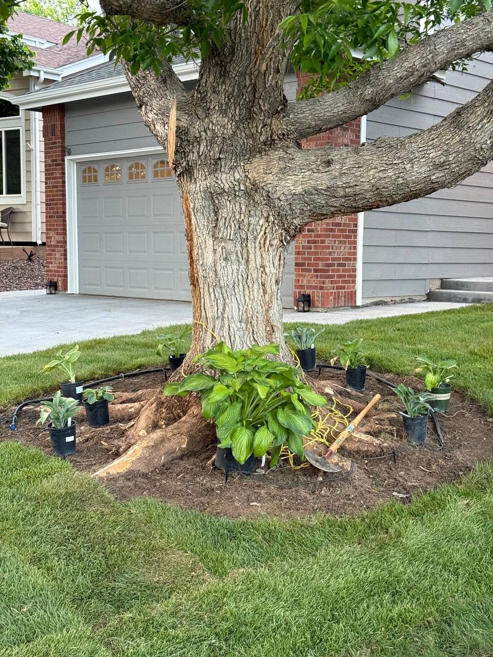 Sod installation — prep