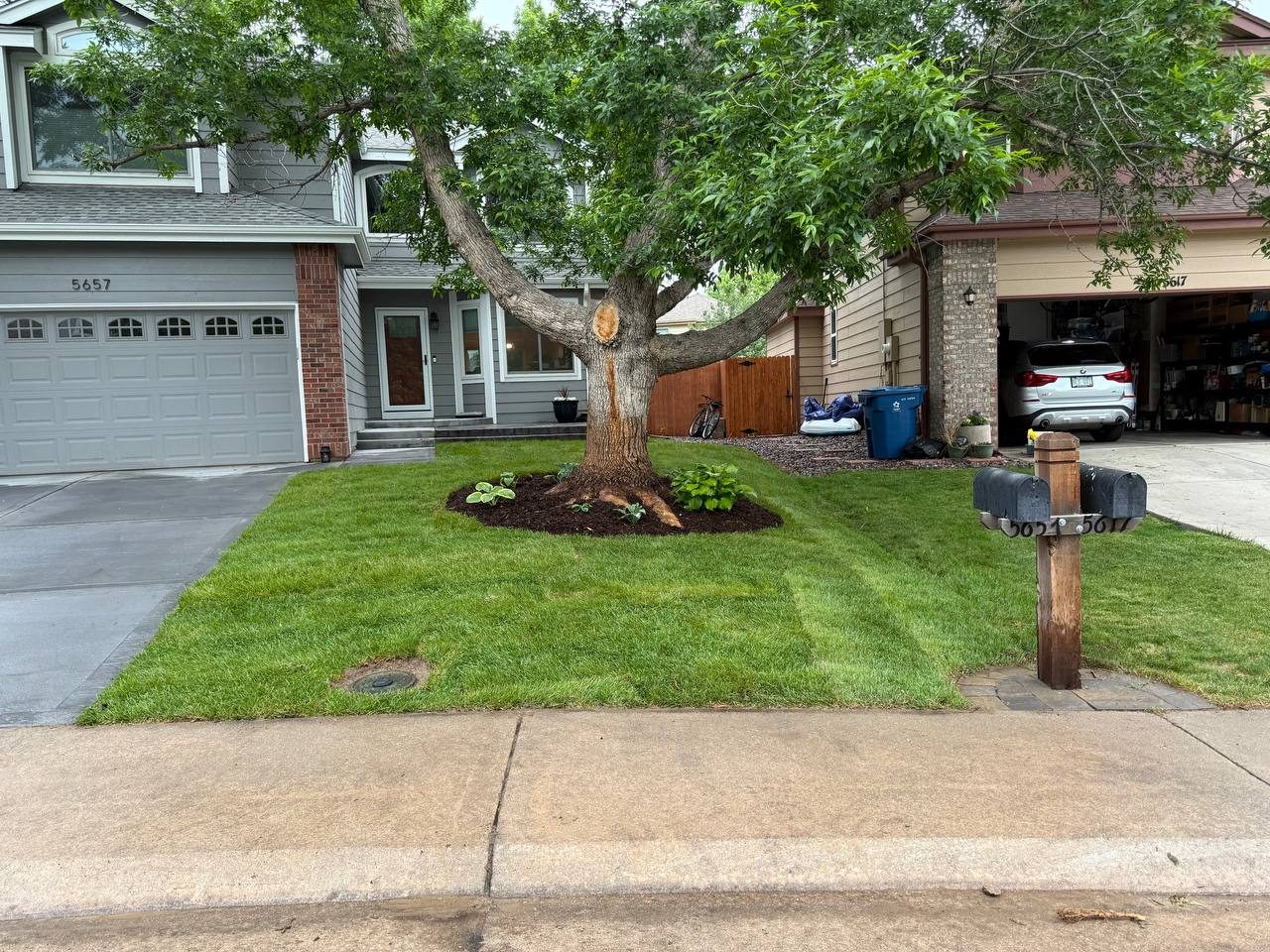 Sod installation — laying sod