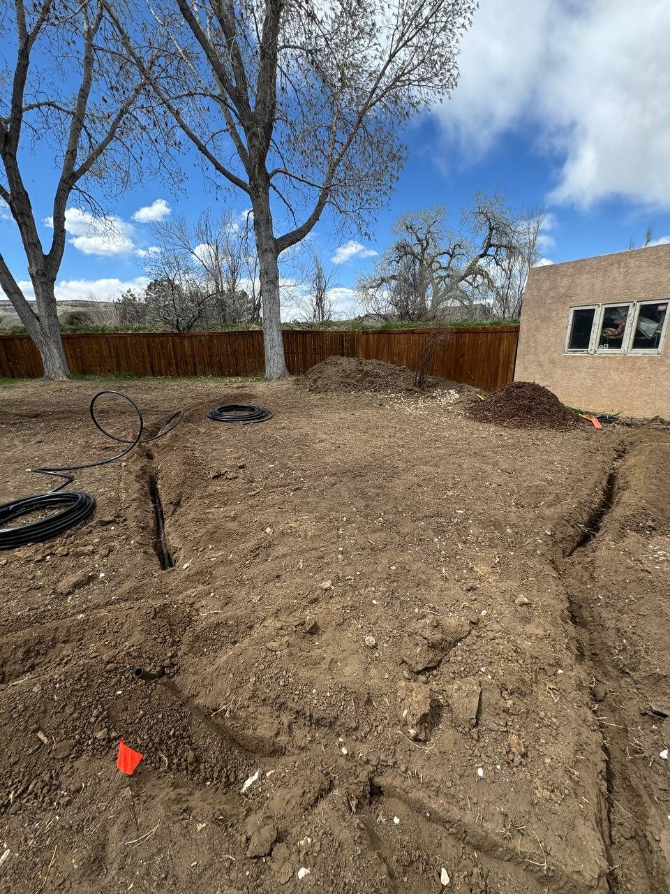 Large backyard sod — prep
