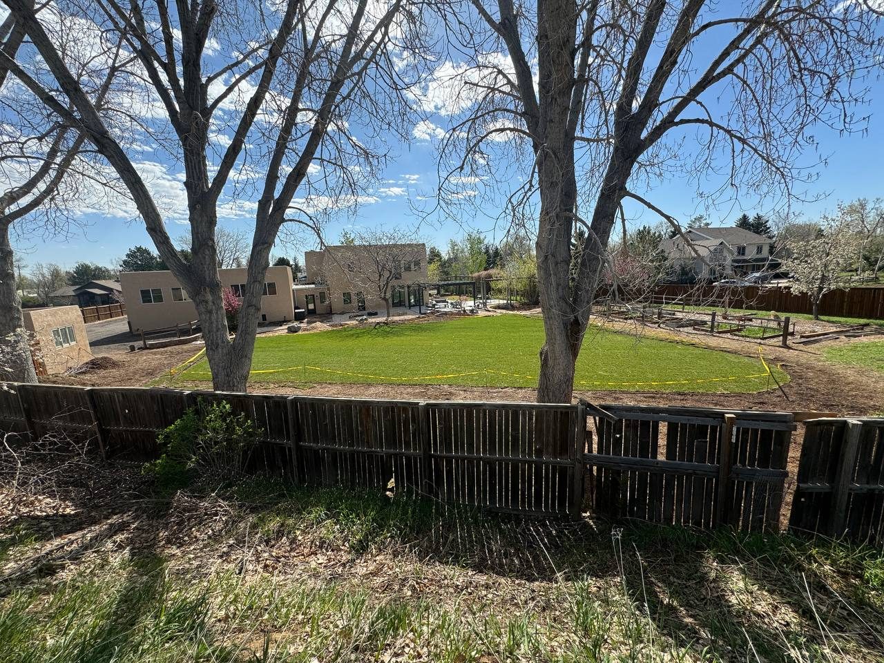 Large backyard sod — after